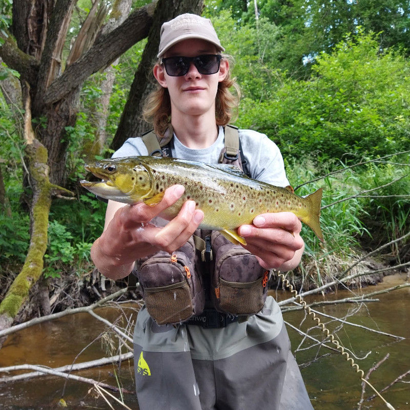 Wychwood Gorge Waders